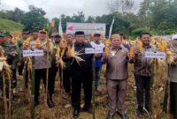 Wakil Bupati Risman Tolingguhu bersama unsur Forkopimda setempat, melakukan panen jagung program Perluasan Areal Tanam (PAT) di Kabupaten Bone Bolango, di lahan Kelompok Tani Mekar Jaya, Desa Ulanta Kecamatan Suwawa, Senin (2/6/2025). (F.AKP).