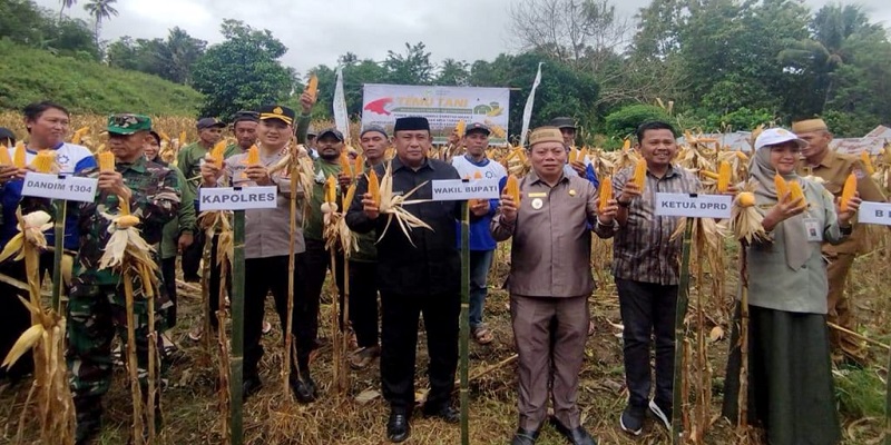 Wakil Bupati Risman Tolingguhu bersama unsur Forkopimda setempat, melakukan panen jagung program Perluasan Areal Tanam (PAT) di Kabupaten Bone Bolango, di lahan Kelompok Tani Mekar Jaya, Desa Ulanta Kecamatan Suwawa, Senin (2/6/2025). (F.AKP).