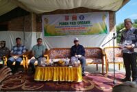 Sambutan Wakil Bupati Risman Tolingguhu saat pelaksanaan Panen Padi Organik di lahan persawahan Gapoktan Mawar Lestari Desa Iloheluma Kecamatan Tilongkabila, Jumat (20/6/2025). (F.AKP).

