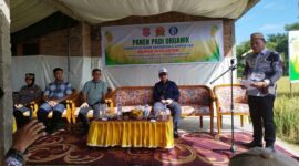 Sambutan Wakil Bupati Risman Tolingguhu saat pelaksanaan Panen Padi Organik di lahan persawahan Gapoktan Mawar Lestari Desa Iloheluma Kecamatan Tilongkabila, Jumat (20/6/2025). (F.AKP).

