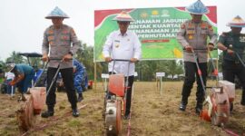 Penanaman Jagung Serentak Kuartal III dan Penanaman Jagung di Lahan Perhutanan Sosial yang dilaksanakan di Desa Bongoime Kecamatan Tilongkabila, Rabu (9/7). (F. Onal/Prokopim).