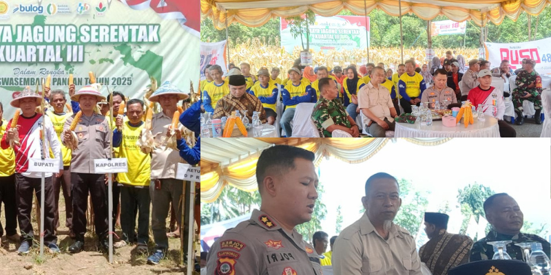 Panen Raya Jagung yang dipusatkan di Desa Tingkohubu Kecamatan Suwawa Kabupaten Bone Bolango, Sabtu (27/09/2025).